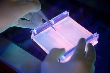 CMMC Center of Molecular Medicine Research