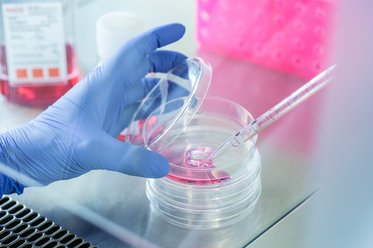 CMMC Center of Molecular Medicine Research